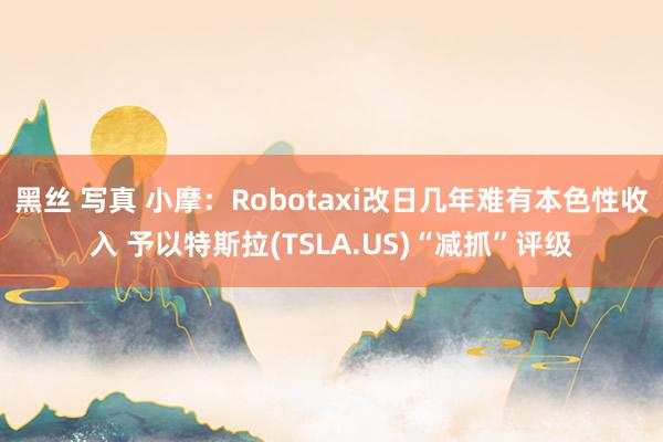 黑丝 写真 小摩：Robotaxi改日几年难有本色性收入 予以特斯拉(TSLA.US)“减抓”评级